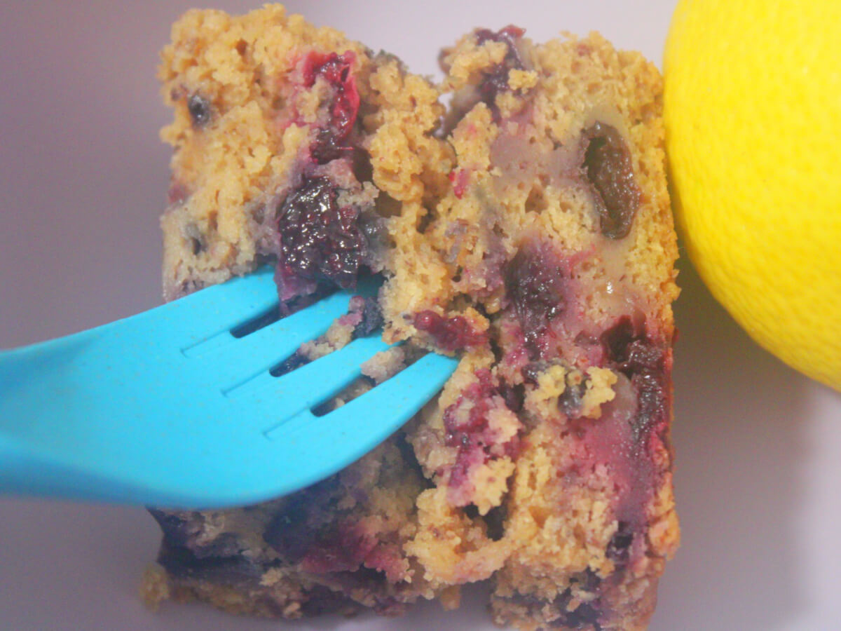 Vegan Sweet Lemon Blueberry Loaf