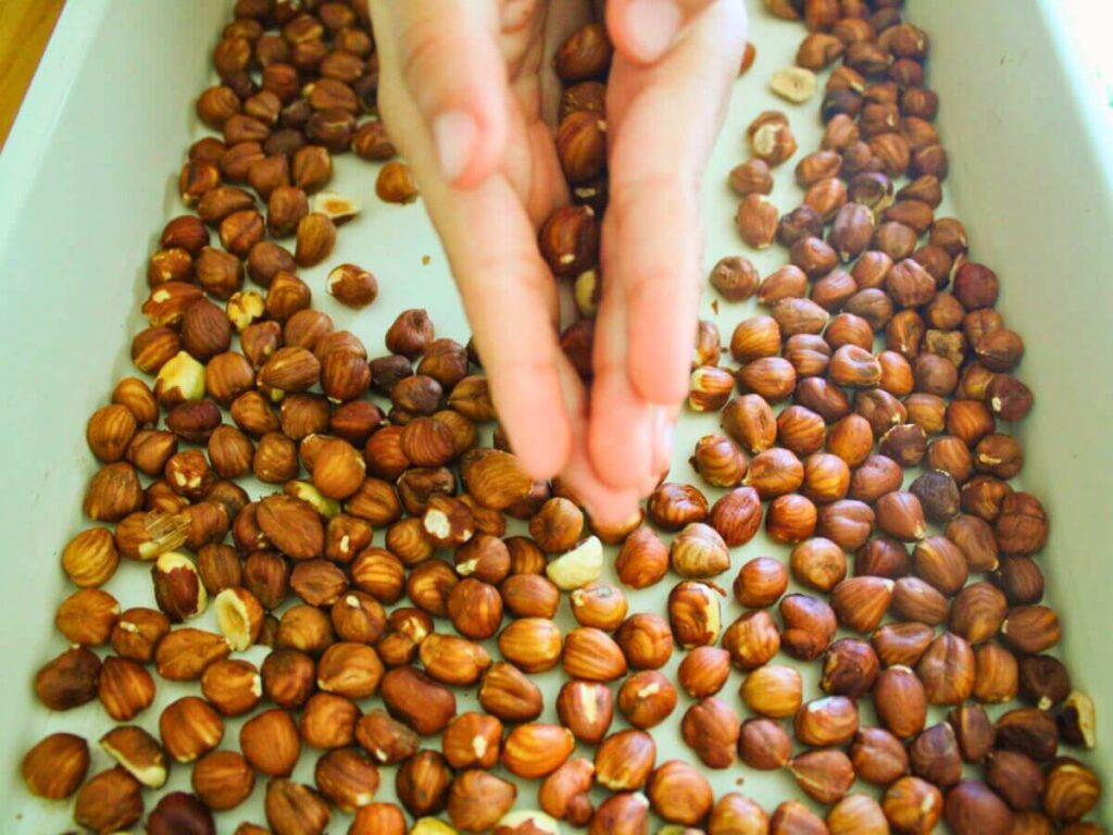 Child rubbing roasted hazelnuts between hands to remove the skins