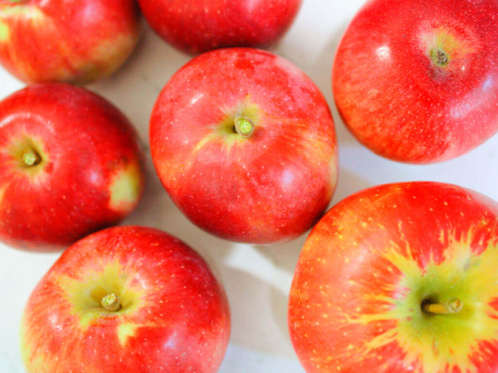 bright red apples freshly picked at apple orchard