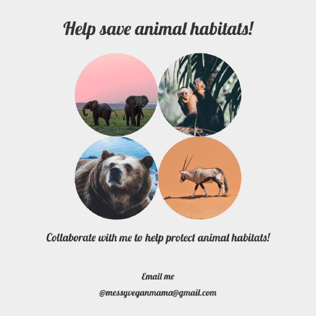 Collaborate with messy vegan mama to help animals (1) (1)