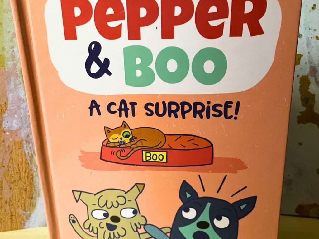 Pepper & Boo A Cat Surprise children's picture book in the messy little readers library