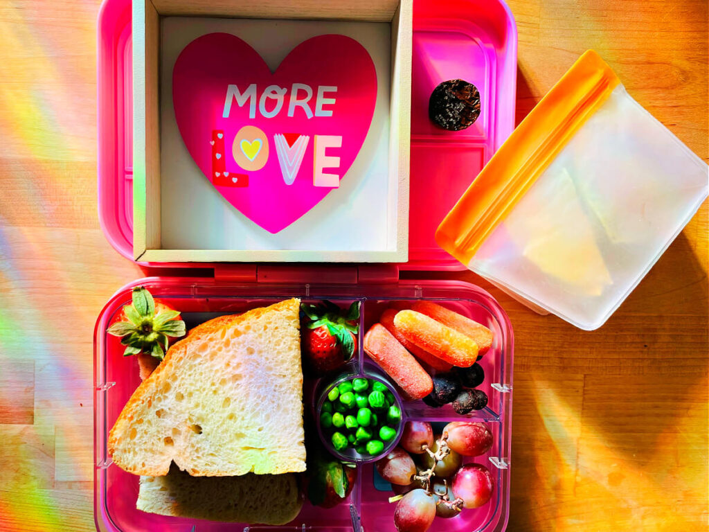 Vegan-Kids-School-Lunch-Box-1st-Edition-healthy