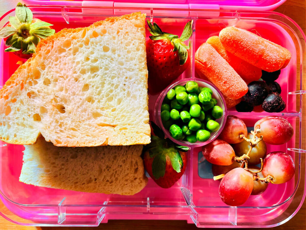 Vegan-Kids-School-Lunch-Box-1st-Edition-whats-inside