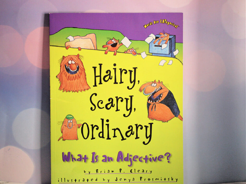Hairy, Scary, Ordinary: What Is an Adjective? book cover by Brian P. Cleary