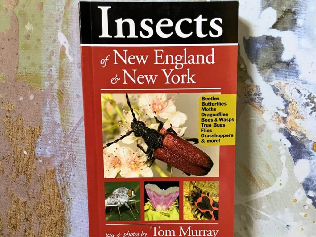 A nonfiction insects book for older kids included in a vegan Easter basket